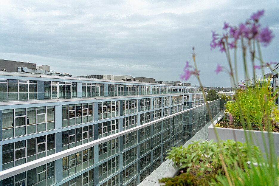 Das ForPro-Zentrum im Espace Tourbillon, im Herzen des Industriegebiets von Plan-les-Ouates, vereint auf sechs Etagen Ausbildung, Labs, Gastronomie und Begegnungsräume unter einem Dach.