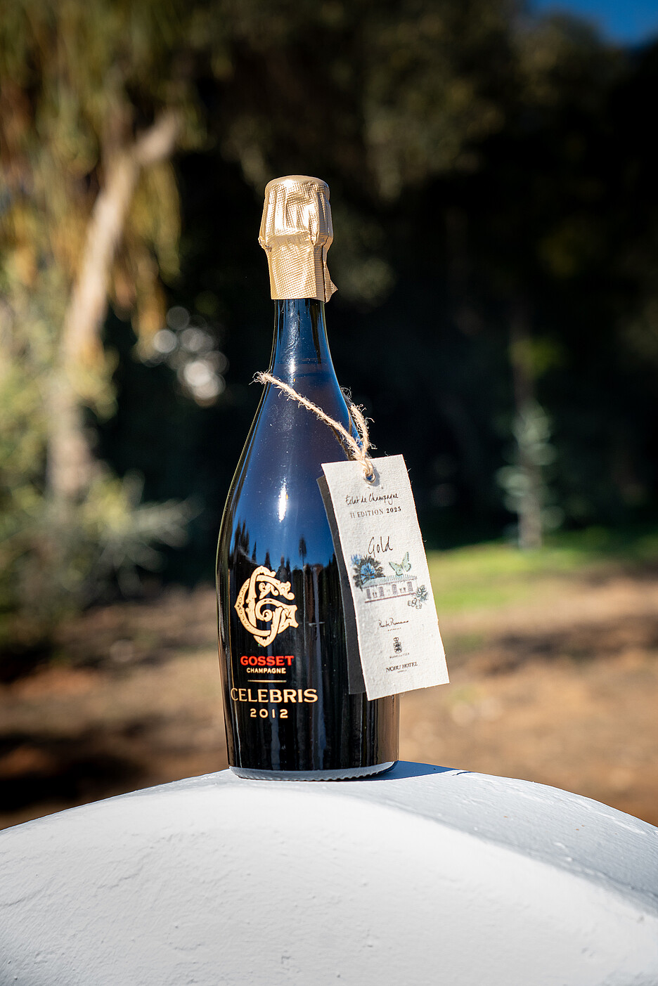 Der Sieger – ein Champagner mit Haltung, aus dem ältesten Weinhaus der Champagne.