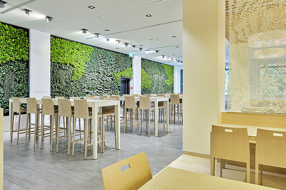 Das Freeflow-Restaurant «feingut» punktet nicht nur mit gutem Essen, sondern auch mit einer einzigartigen Pflanzenwand, die den Raum gemütlich macht.