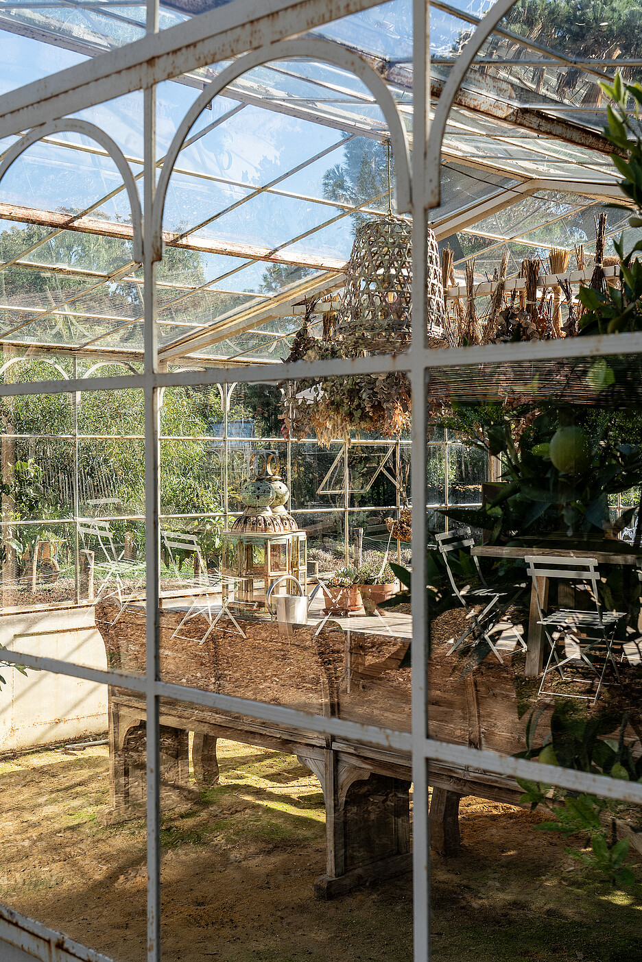 Die Finca Ana María ist übersät mit bougainvillea-bewachsenen Pergolen, zwei Vintage-Gewächshäusern, einem versenkten Picknicktisch, einem hoch aufragenden Baum, der Geschichten erzählt, und vielen Ecken und Winkeln, die sich für Ihre private Veranstaltung oder Feier eignen.